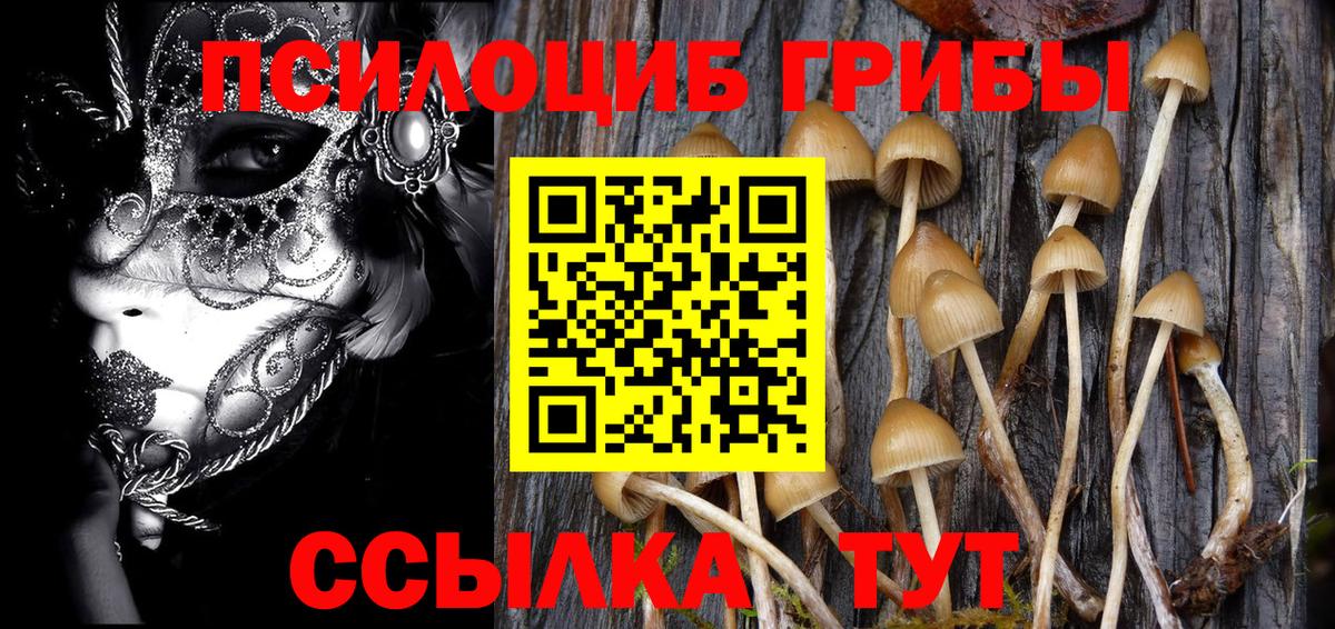 Псилоцибиновые грибы Magic Shrooms Холмск